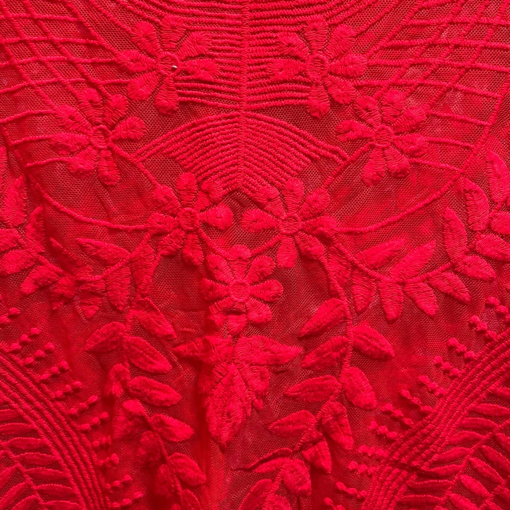 Express Lace top - Picture 3 of 4